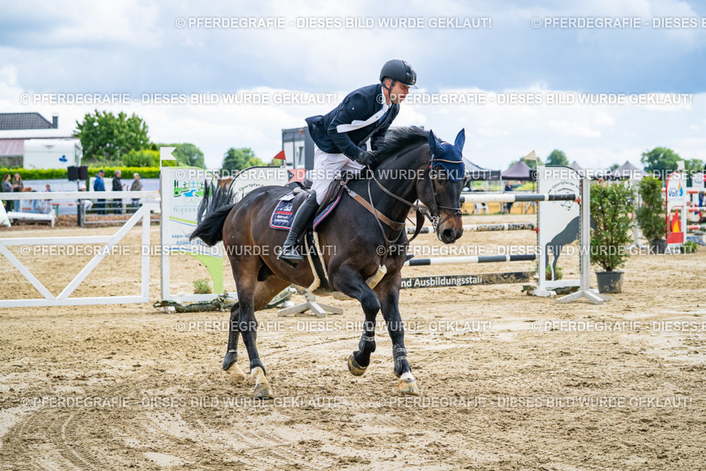 DSC06224 | Pferdegrafie