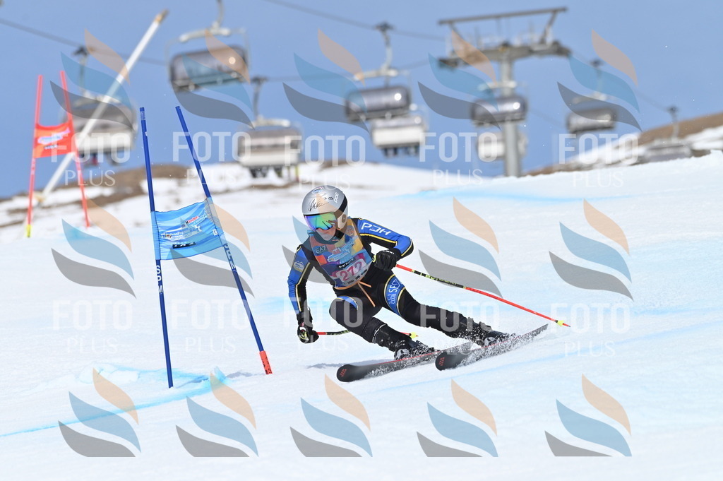 BGV_2293 | holidayphoto