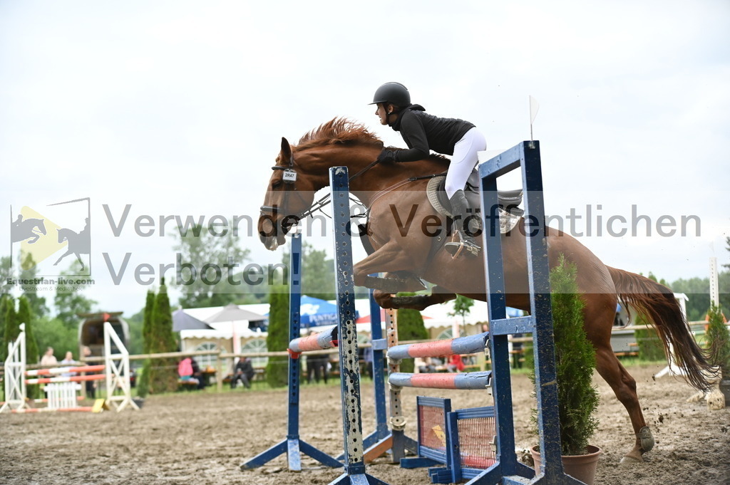 DSC_1542 | equestrian-live-com