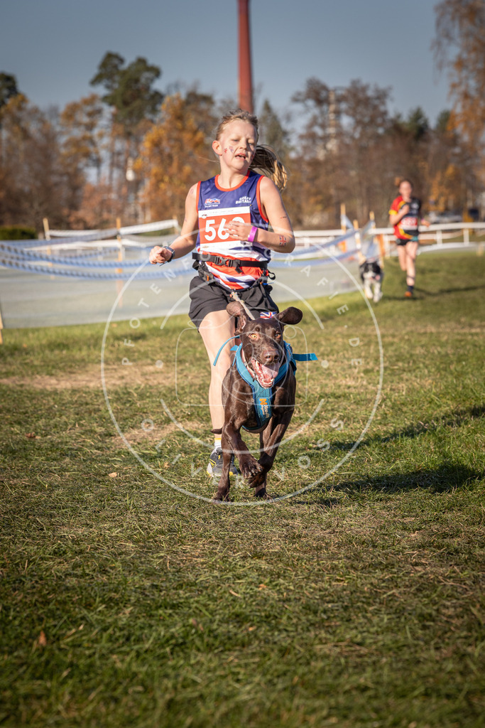 CaniXpix_0L8A7851 | Hundefotografie, Tierfotograf, Pfotenfotografie, Fotoshooting Hund, Hunde Portrait, Hundesport, Hundeportraits, Heideshooting, Hunde, Sportfotograf, Hundefotograf, Turnierhundsport, THS,  - Realisiert mit Pictrs.com