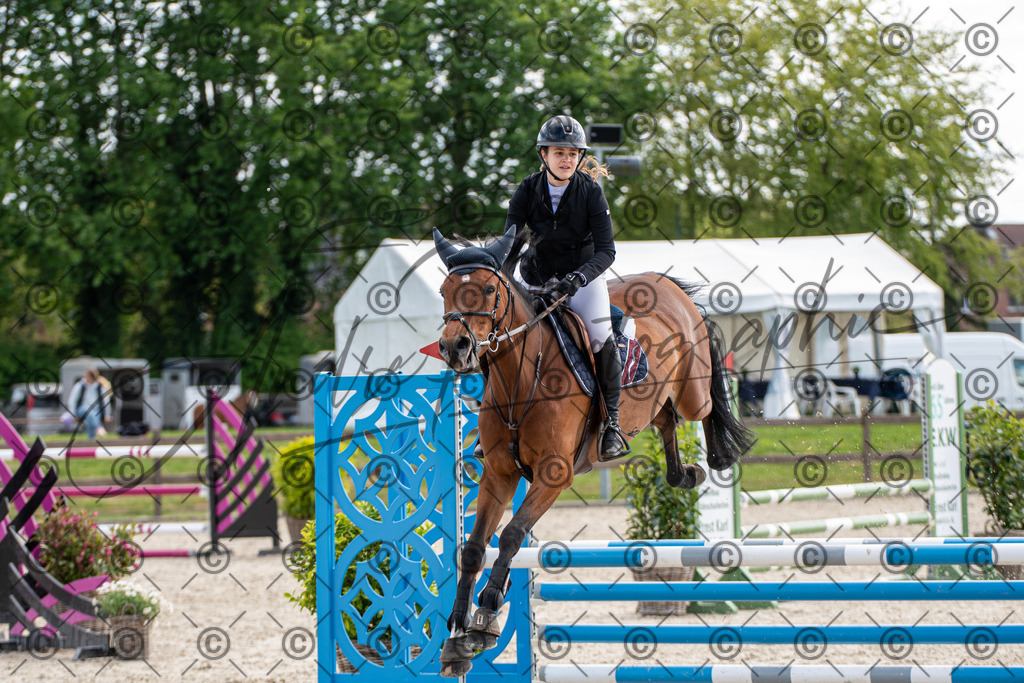 KPT_4759 | andre_photographic