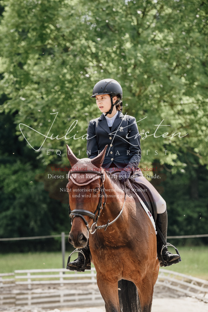 DSC_9649 | Pferde- und Turnierfotografie in Westsachsen. Pferdeportraits, Auftragszeichnungen und intuitive Kunst.
