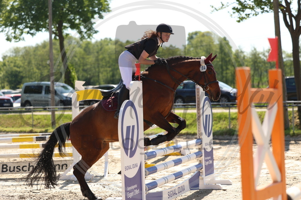 994A5626 | sabrinanicolaifotografie - Realisiert mit Pictrs.com