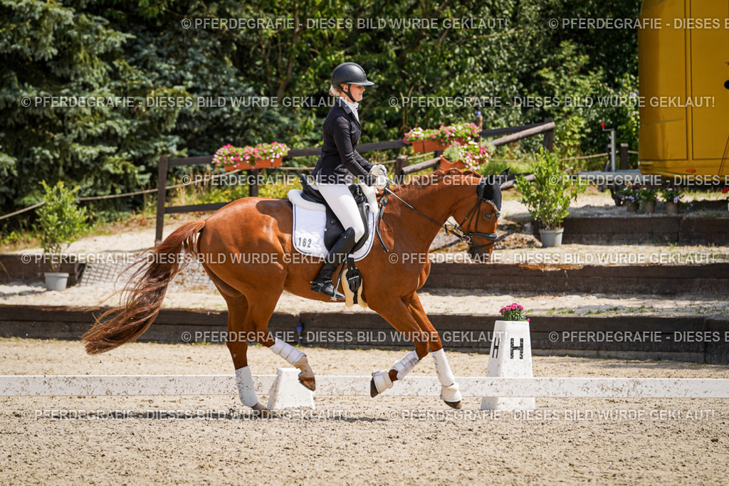 DSC01808 | Pferdegrafie