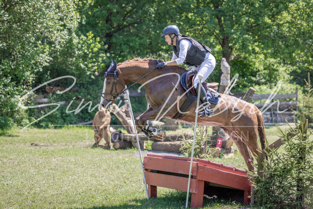 20260523-_3LI8382 | Tierfotografie Pferde, Hunde, Katzen, Haustiere.
Turnierfotografie Reitturniere, Reiten, Springreiten, Dressur in Hanau, dem Main-Kinzig-Kreis und dem Rhein-Main- Gebiet um Frankfurt