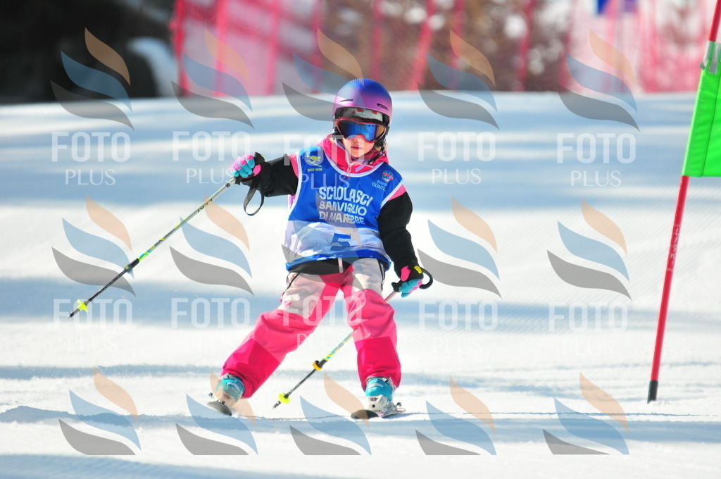 B9182 | holidayphoto