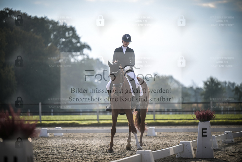 DOS_3306 | Entdecke hochwertige Reitturnierfotos von Foto Oger. Professionell, emotional und authentisch – jetzt Lieblingsmomente im Shop bestellen. - Realisiert mit Pictrs.com
