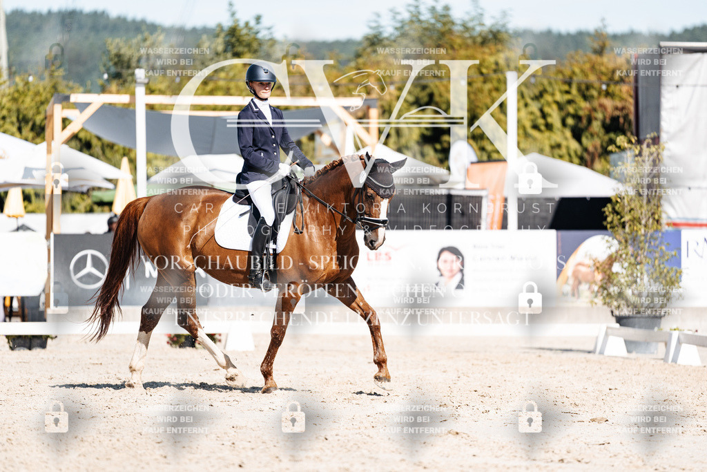 CK908473 | Turnierfotografie Pferdefotografie Trier Rheinland-Pfalz Pferdesport Reitsport Tierfotografie Sportfotografie Pferdevideo Pferdevideografie Equestrianvideography equestrianphotography  - Realisiert mit Pictrs.com