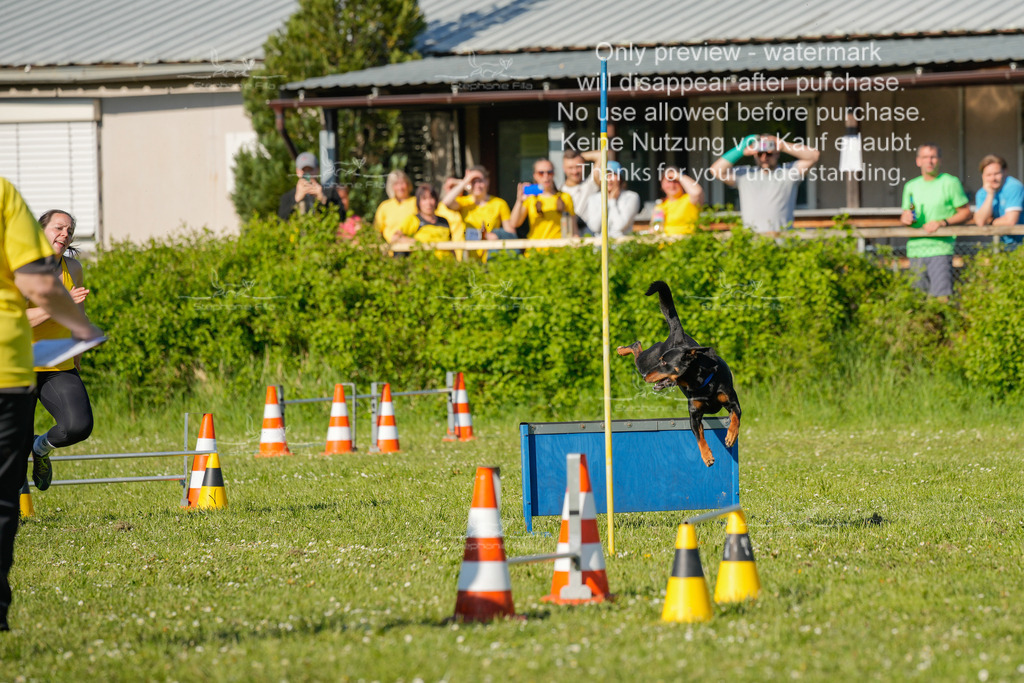 Sa_CSC-437 | stephaniefillaphotographie - Realisiert mit Pictrs.com