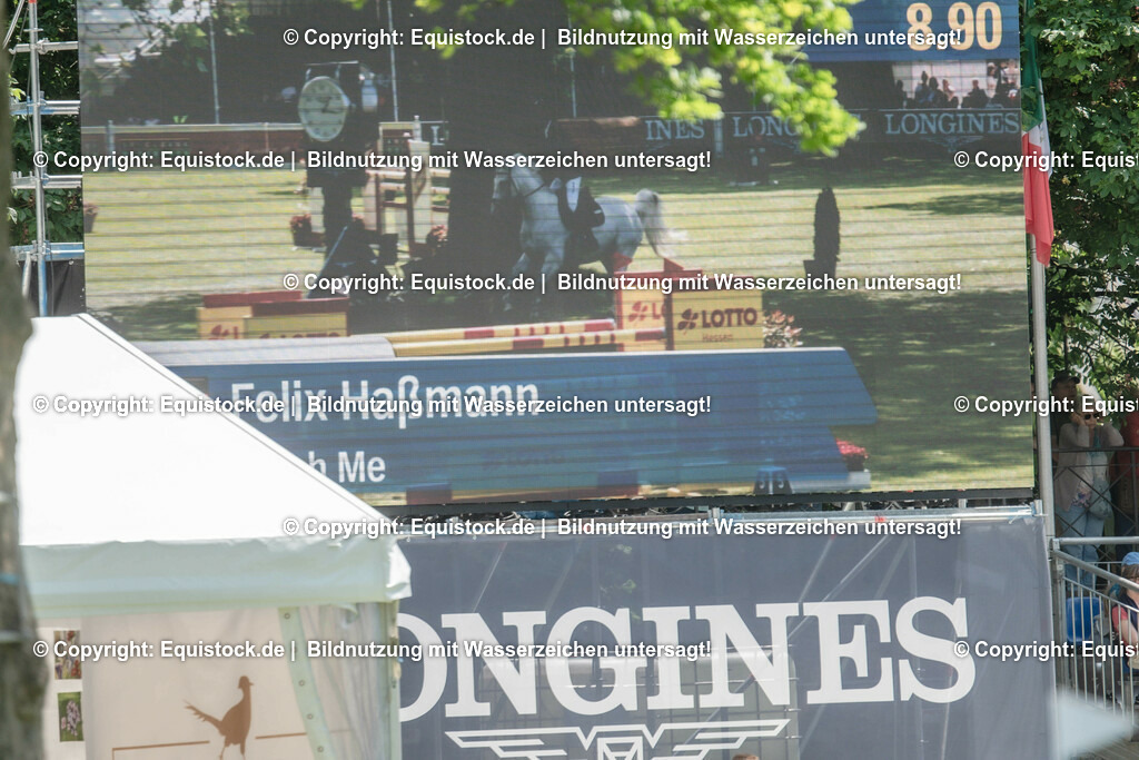 20230527_12_CSI4_Pfungstädter_0088 | equistock