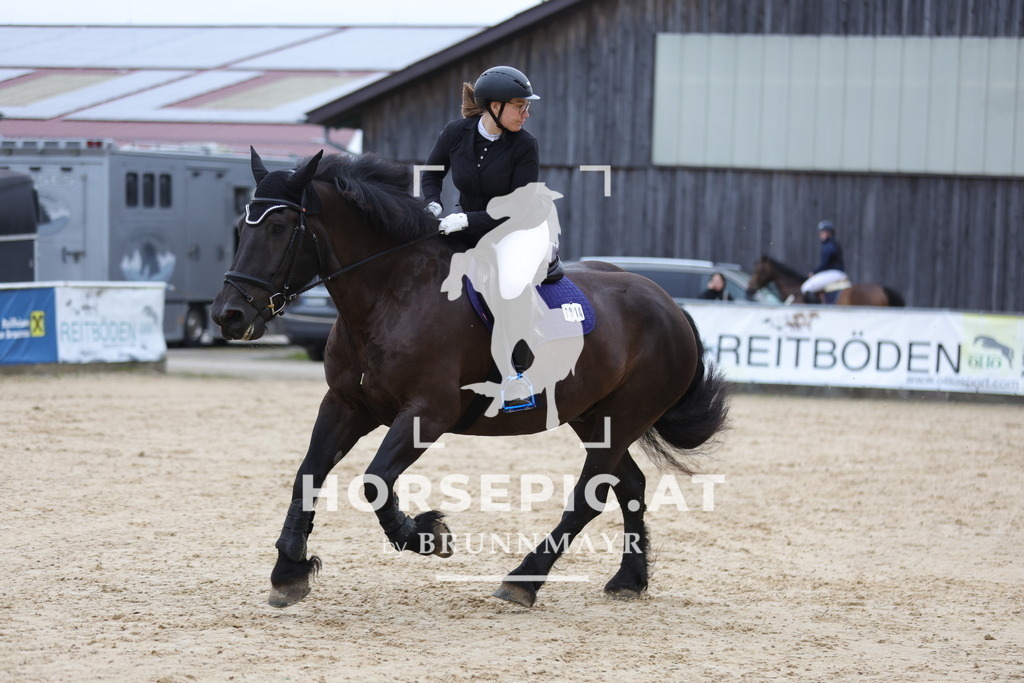 0P6A2117 | Willkommen bei Brunnmayr - Design & Fotografie – Ihrem Spezialisten für Reitturniere und Pferdeveranstaltungen in Oberösterreich, Salzburg und Bayern! Seit über 17 Jahren sind wir leidenschaftlich dabei.
