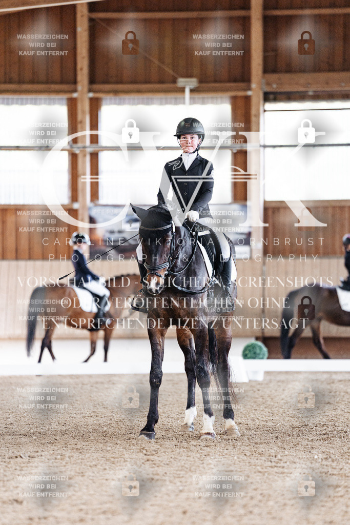 CK909392 | Turnierfotografie Pferdefotografie Trier Rheinland-Pfalz Pferdesport Reitsport Tierfotografie Sportfotografie Pferdevideo Pferdevideografie Equestrianvideography equestrianphotography  - Realisiert mit Pictrs.com