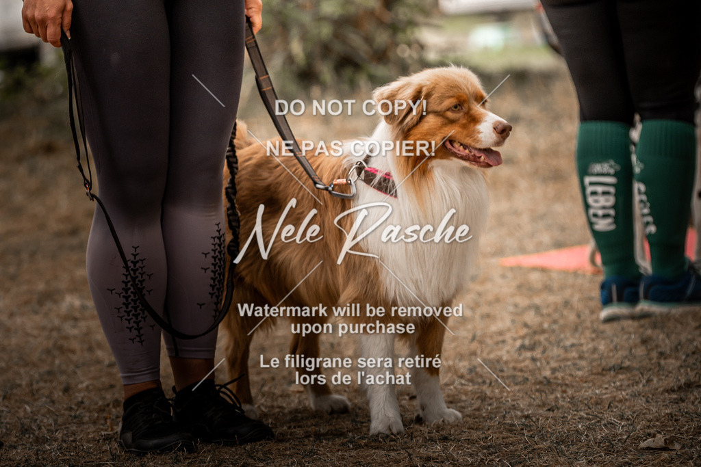 nelerasche_slaw24Fr1_445 | nelerasche