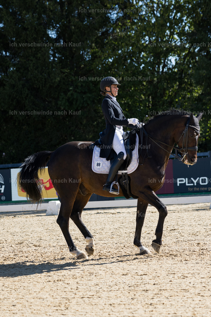 FHC2026_P07_88_17654 | working equitationturnier fotograf videograf stoibphotography marixx film working equitation deutschland reitsport turnierfotografie eventfotografie equestrian events