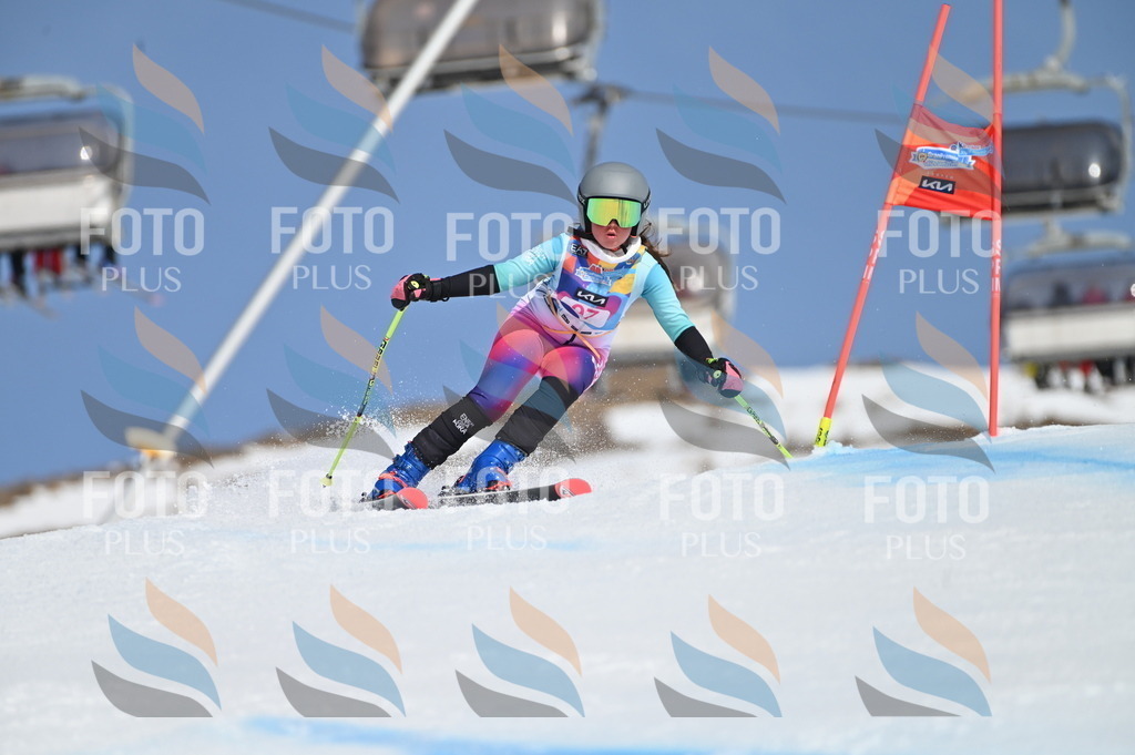 BGV_9389 | holidayphoto