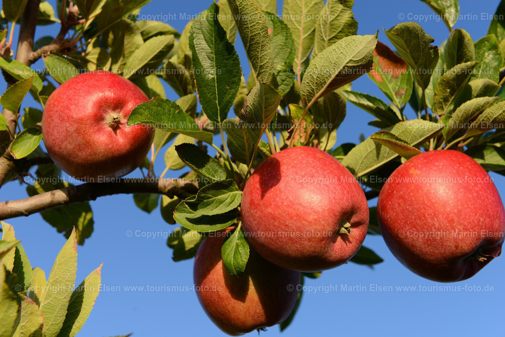 ELS_6155 | Fotos aus den Touristenorten aus Norddeutschland. - Realisiert mit Pictrs.com