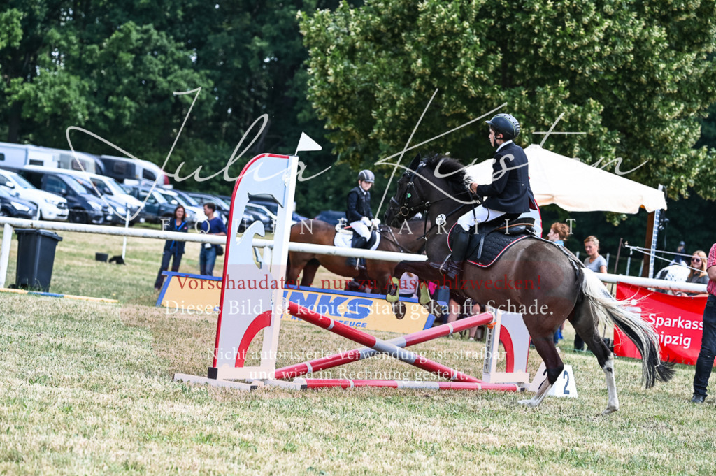 DSC_9765 | Pferde- und Turnierfotografie in Westsachsen. Pferdeportraits, Auftragszeichnungen und intuitive Kunst.
