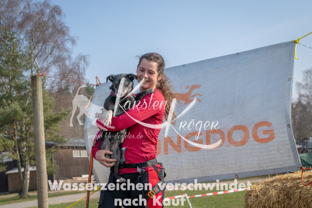 _ZZ91260 | kk-dogfotos
