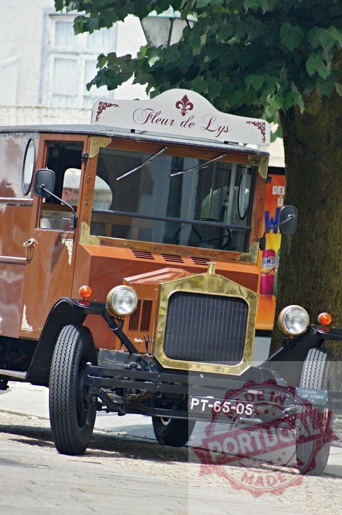 Vintage Fleur de Lys delivery truck parked on a cobblestone street | Brown vintage delivery truck with Fleur de Lys logo parked near a tree on cobblestone street - Realized with Pictrs.com