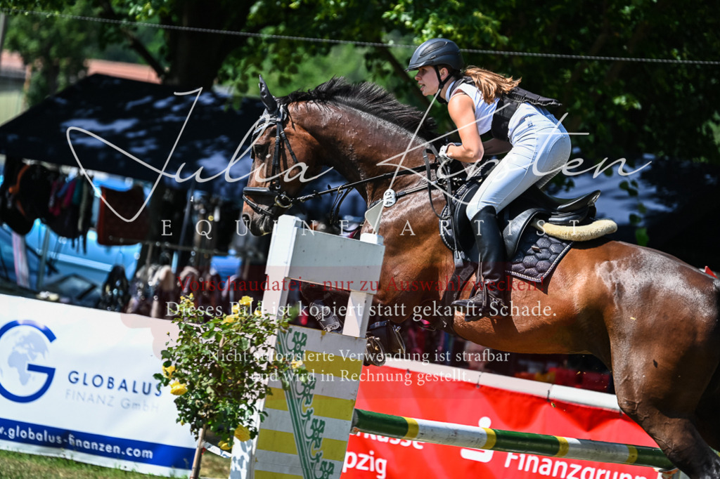 DSC_1070 | Pferde- und Turnierfotografie in Westsachsen. Pferdeportraits, Auftragszeichnungen und intuitive Kunst.