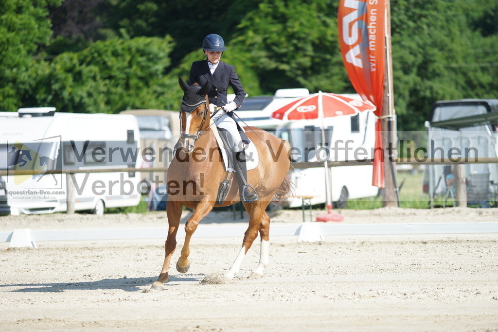 DSC02406 | equestrian-live-com