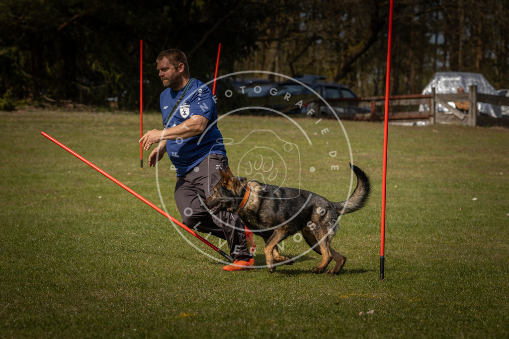 Pfotenfotografie_DV3A4763 | Hundefotografie, Tierfotograf, Pfotenfotografie, Fotoshooting Hund, Hunde Portrait, Hundesport, Hundeportraits, Heideshooting, Hunde, Sportfotograf, Hundefotograf, Turnierhundsport, THS,  - Realisiert mit Pictrs.com