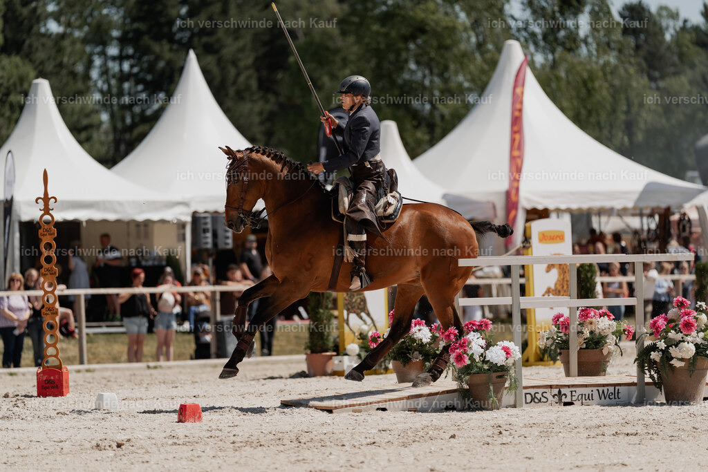 WE_SP_Stoib_313_PI2025_1775 | Pferd International München 2025