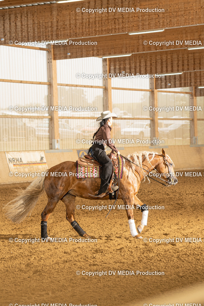 LAU00676 | dv-media-shop - Realisiert mit Pictrs.com