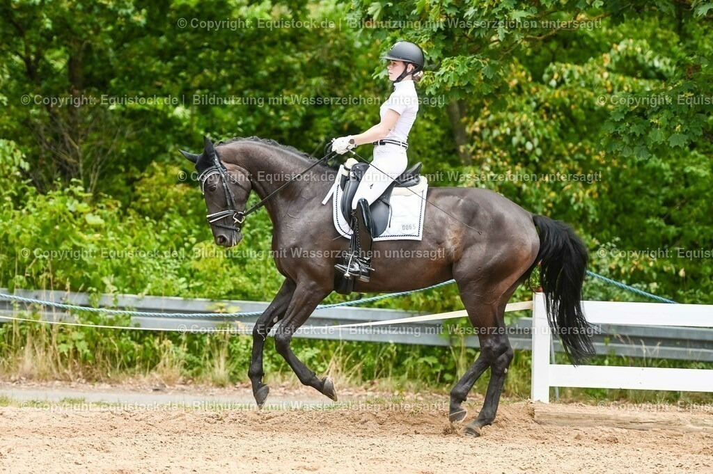20230715_05_Dressurprüfung Kl.A++_0328 | equistock