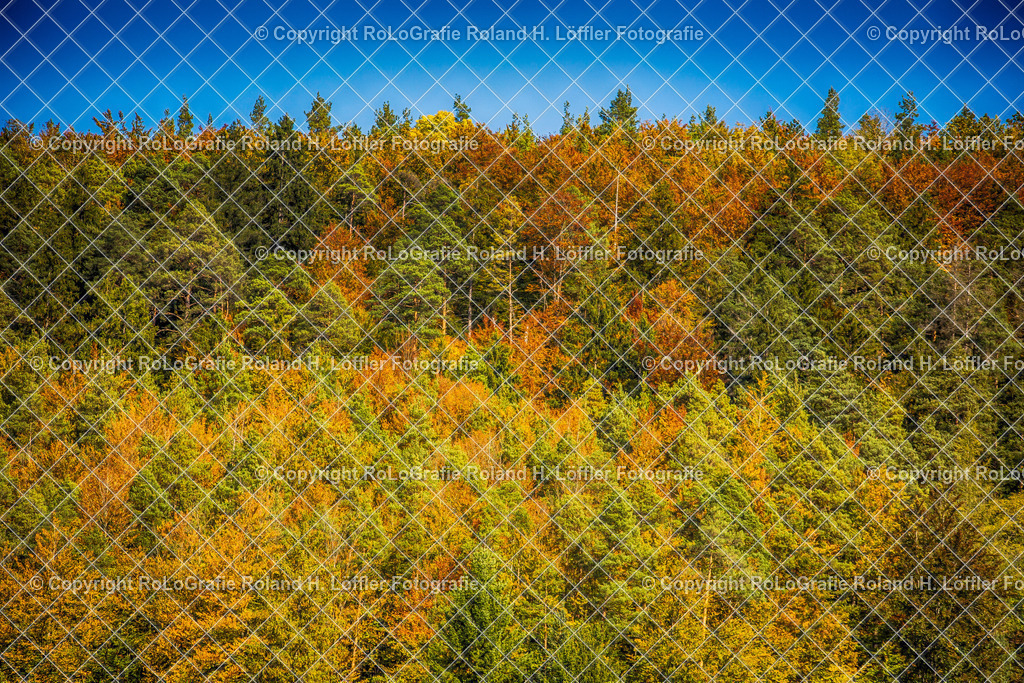 Herbtstwald-01 | Herbstwald am Berg mit blauem Himmel - Realisiert mit Pictrs.com