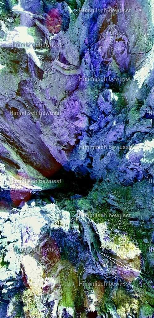 20201015_231911 | Energiebilder der neuen Zeit aus der  Natur,  Tauchen Sie ein in neue Dimensionen, Viola Bous, Dieburg, - Licht_Art-Coaching,  - Realisiert mit Pictrs.com