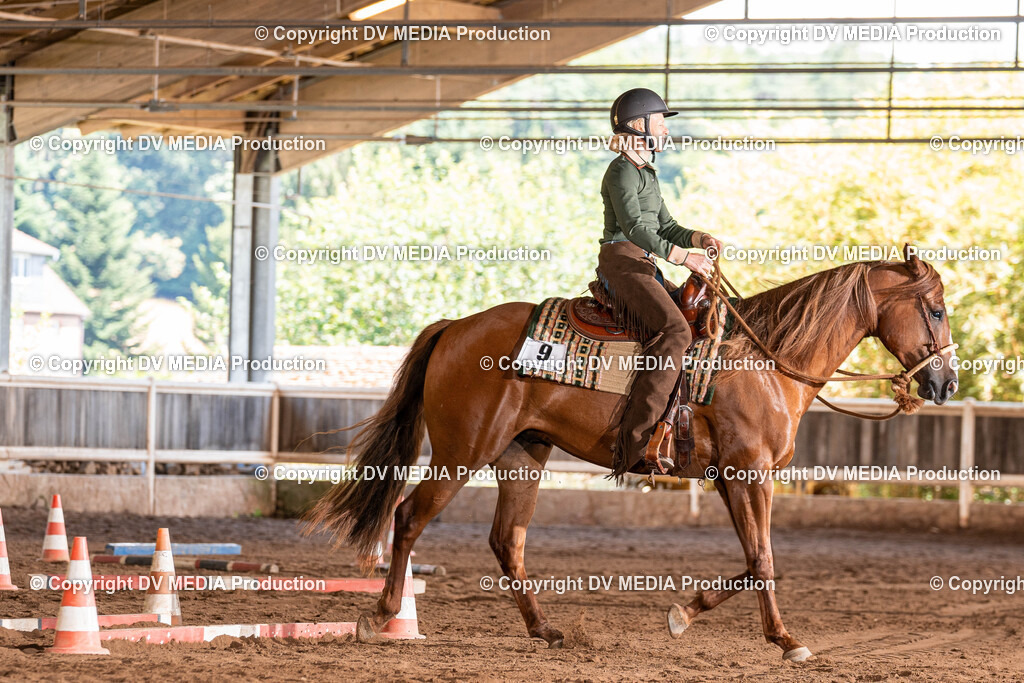 Erbach Tag 2-617 | dv-media-shop - Realisiert mit Pictrs.com