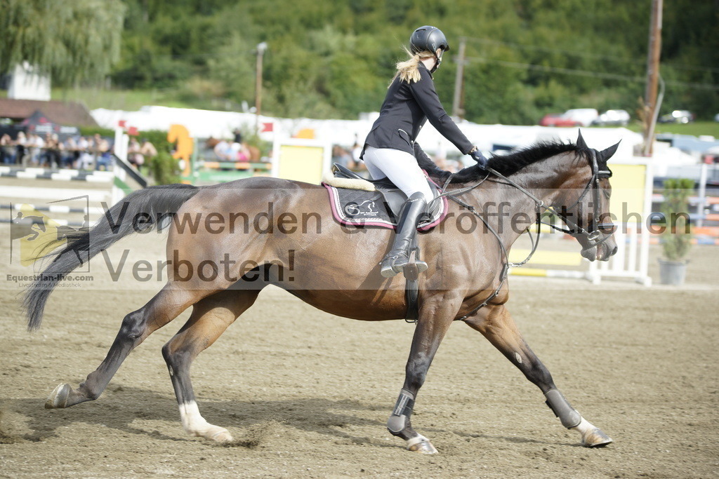 _DSC4370 | equestrian-live-com