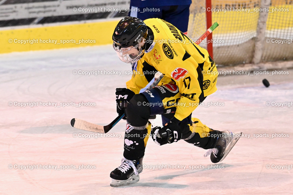 ESC Steindorf vs. EC Hornets Spittal 25.2.2024 | #77 Granitner Gert EC Hornets Spittal, ESC Steindorf vs. EC Hornets Spittal 25.2.2024, ESC Steindorf vs. EC Hornets Spittal 25.2.2024 am 25.02.2024 in Steindorf (Ossiachersee Halle), Austria, (Photo by Bernd Stefan)