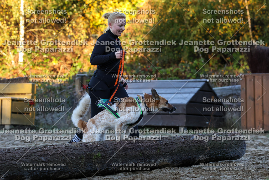 Dog Paparazzi - Strongdog 10-25-478 | Dog Paparazzi Jeanette Grottendiek Fotografie & Videografie