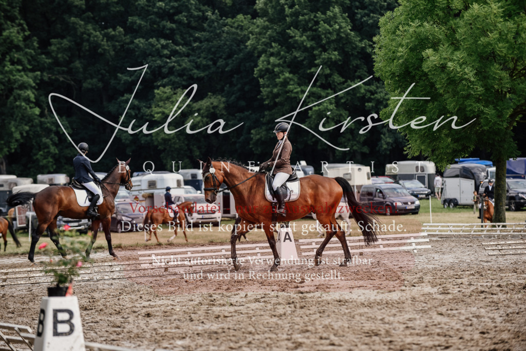 DSC_9521 | Pferde- und Turnierfotografie in Westsachsen. Pferdeportraits, Auftragszeichnungen und intuitive Kunst.