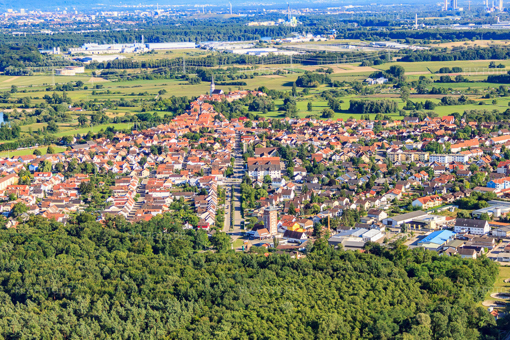 Luftbild: Buchstraße von Norden in Jockgrim im Bundesland Rheinland-Pfalz in Deutschland. Foto: IMG_30790.jpg vom 31.07.2010 durch Werner Riehm/FLY-FOTO.de