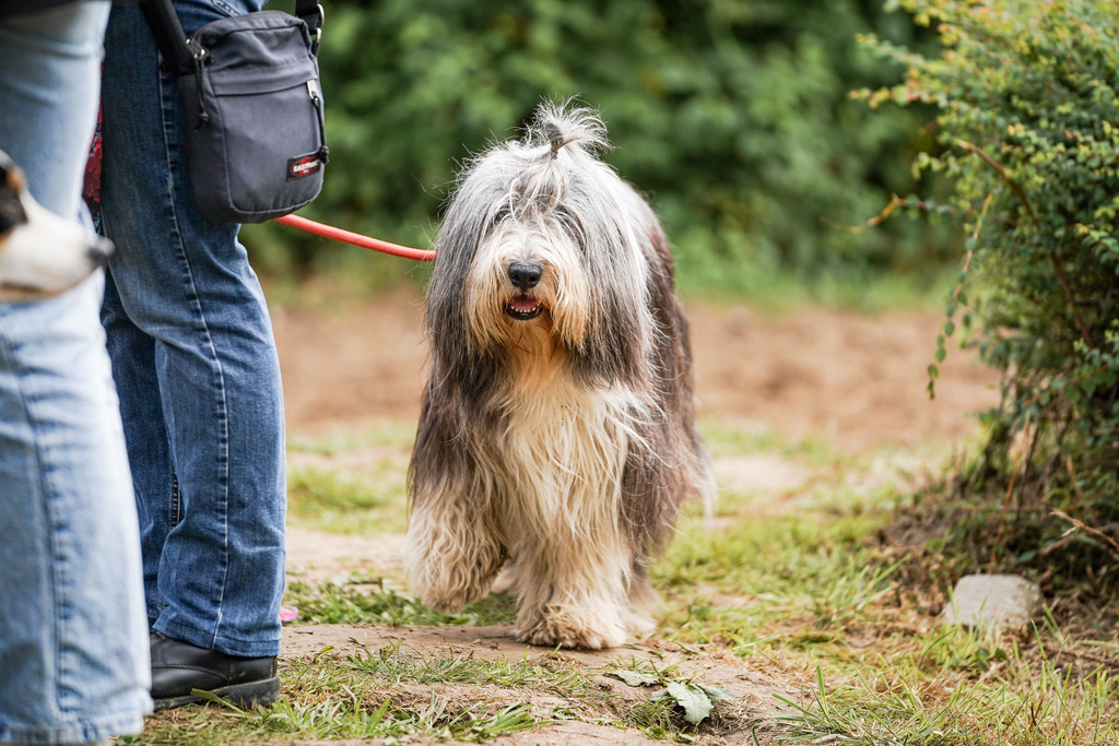 DSC07549 | Pferdegrafie