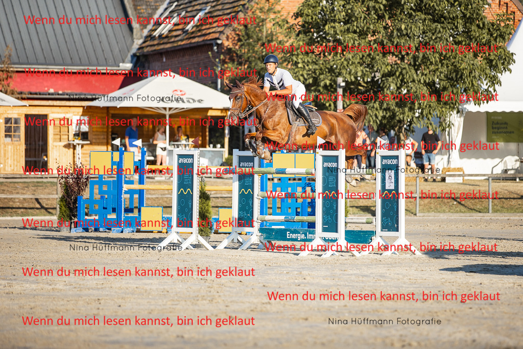 BK1A8867 | Turnierbilder Turnierfotos Nina Hüffmann Turnierfotografie Pferdefotografie Tierzeichnung Haustierzeichnung Pferdezeichnung Hundezeichnung Videograf  - Realisiert mit Pictrs.com