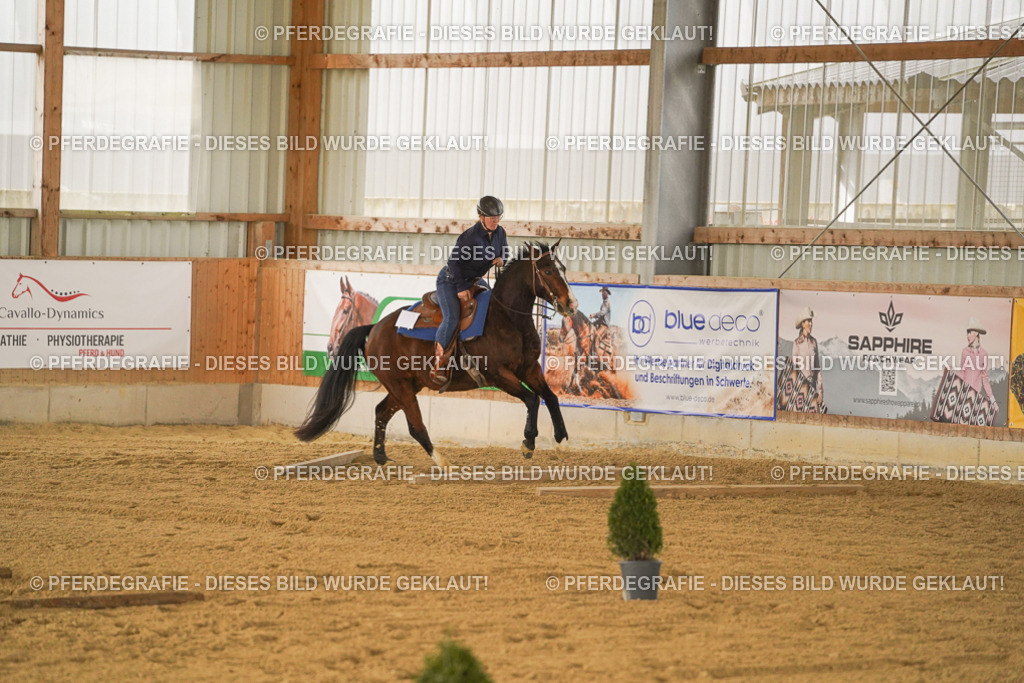 DSC04362 | Pferdegrafie