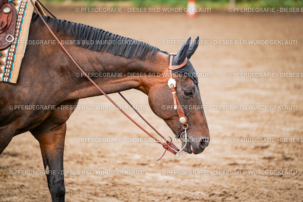 DSC05995 | Pferdegrafie