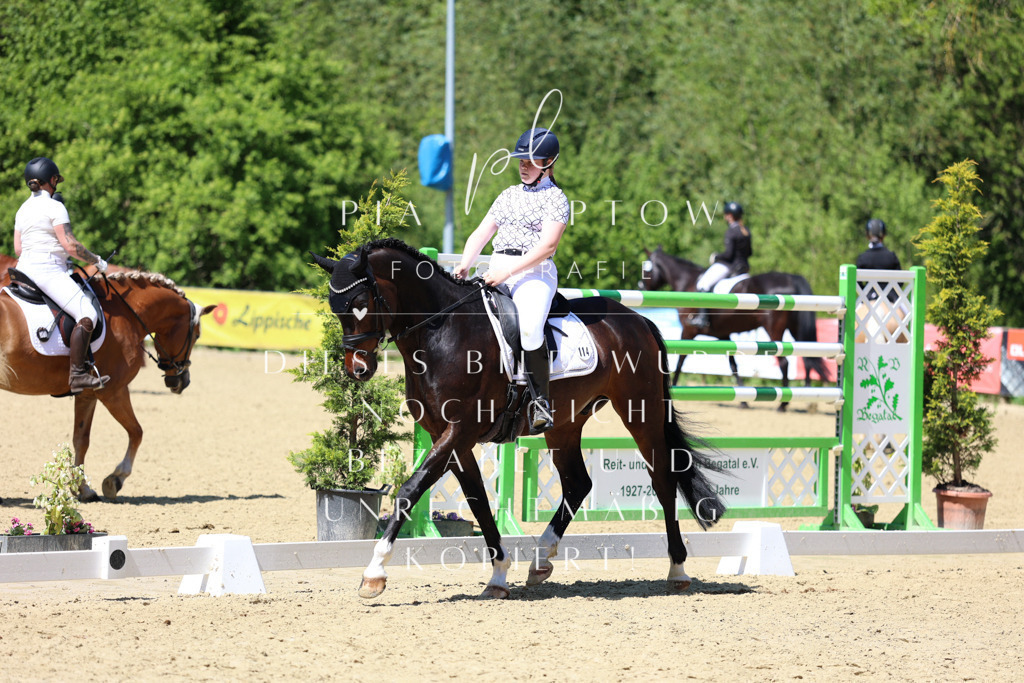 IMGS3159 | pl-fotografie