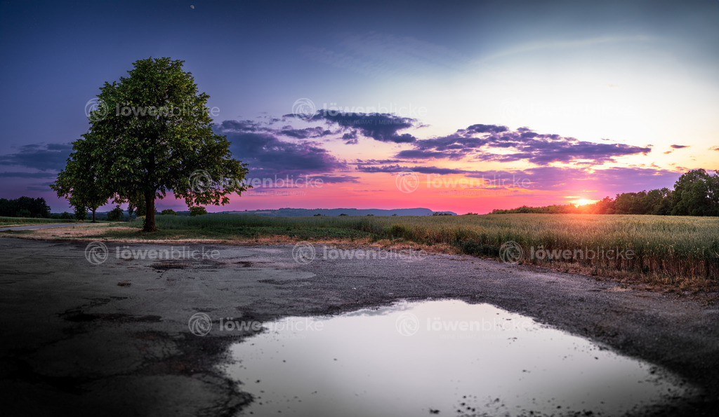 Sonnenuntergang bei Weiler | löwenblicke | shop