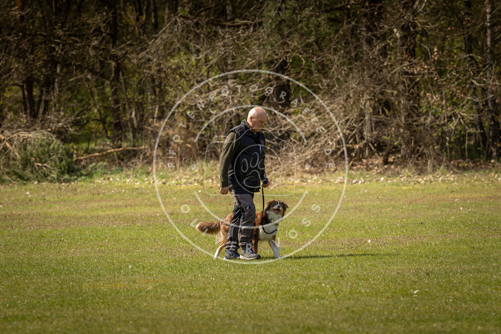 Pfotenfotografie_DV3A1303 | Hundefotografie, Tierfotograf, Pfotenfotografie, Fotoshooting Hund, Hunde Portrait, Hundesport, Hundeportraits, Heideshooting, Hunde, Sportfotograf, Hundefotograf, Turnierhundsport, THS,  - Realisiert mit Pictrs.com