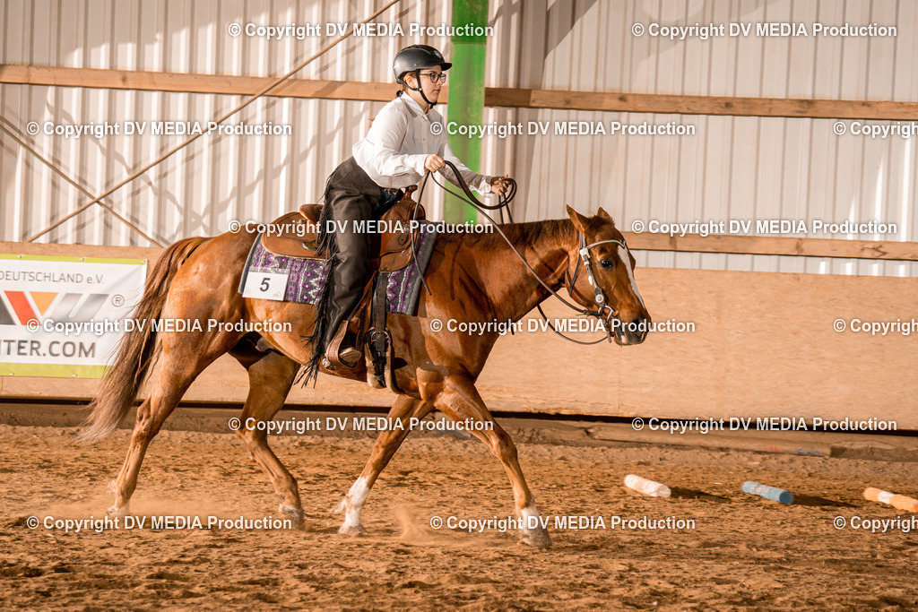 BAL03063 | dv-media-shop - Realisiert mit Pictrs.com