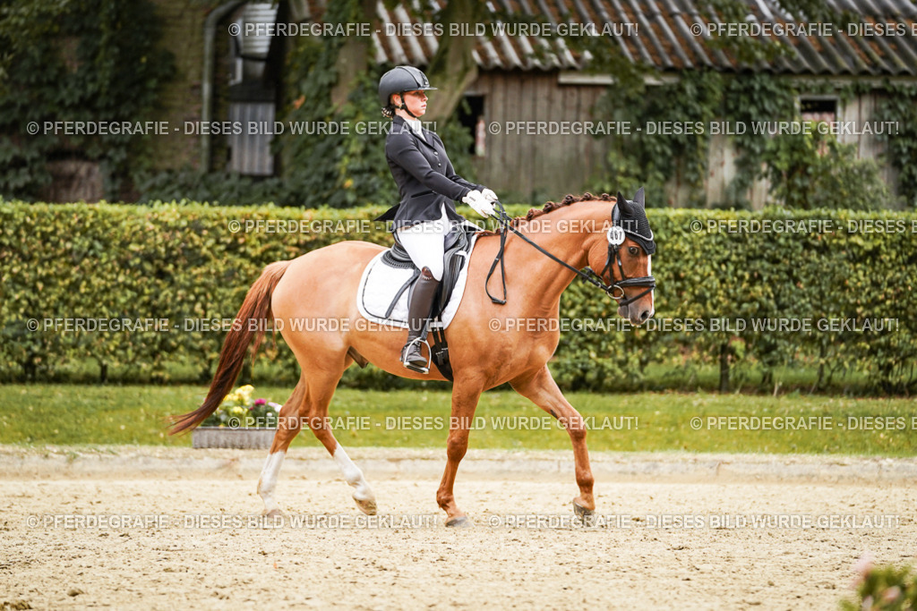 DSC08089 | Pferdegrafie