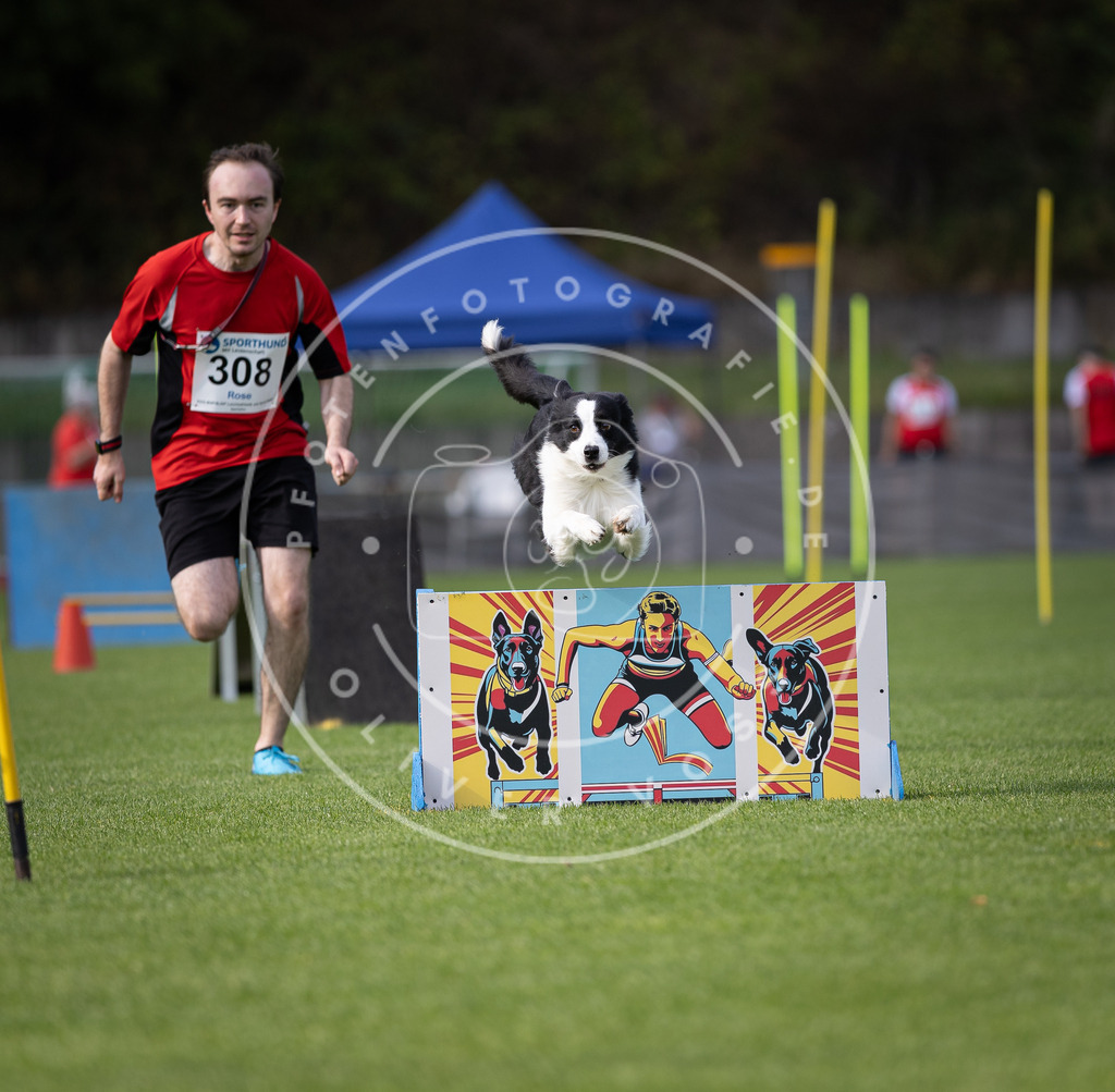Pfotenfotografie_DV3A1434 | Hundefotografie, Tierfotograf, Pfotenfotografie, Fotoshooting Hund, Hunde Portrait, Hundesport, Hundeportraits, Heideshooting, Hunde, Sportfotograf, Hundefotograf, Turnierhundsport, THS,  - Realisiert mit Pictrs.com