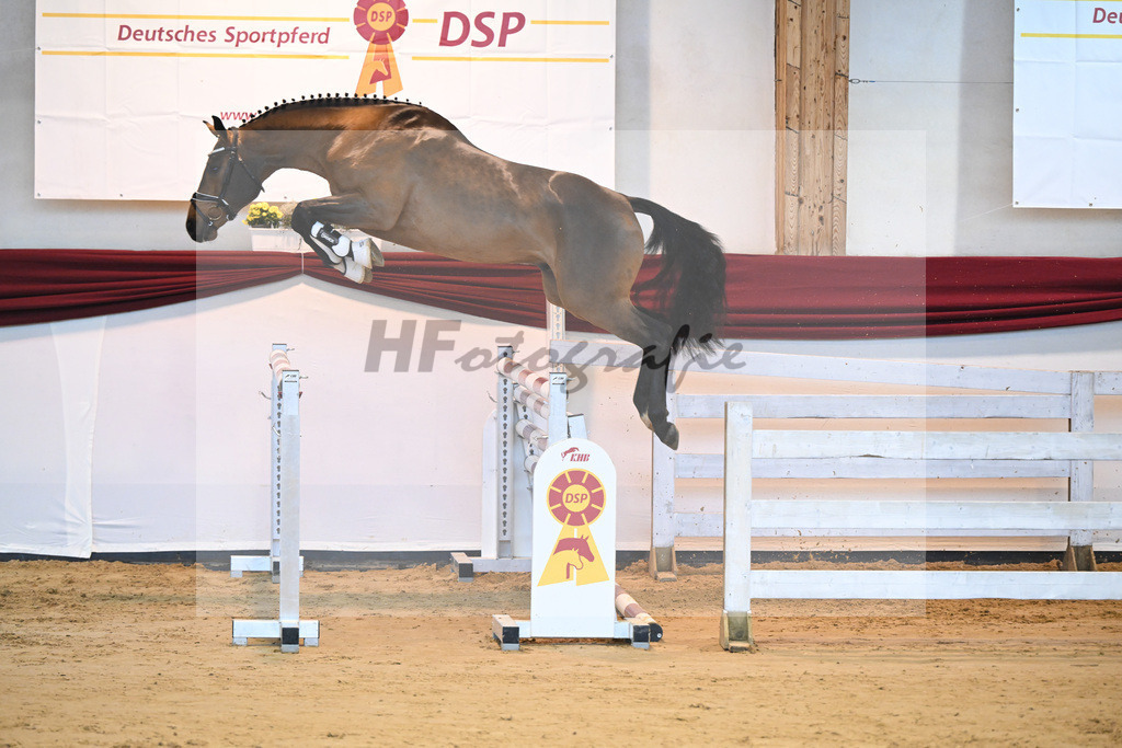 Kat-Nr. 24 v. Don VHP Z_Schwinghammer_66221309 | hf-fotografie - Realizzato con Pictrs.com