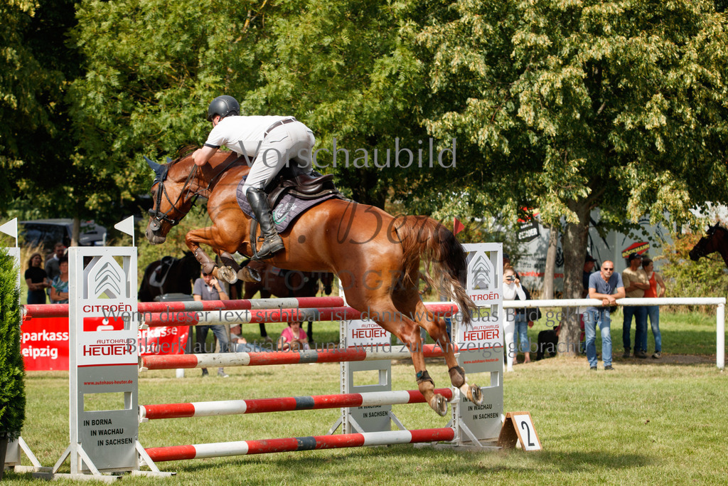 IMG_3743 | P. Berger Fotografie - Realisiert mit Pictrs.com