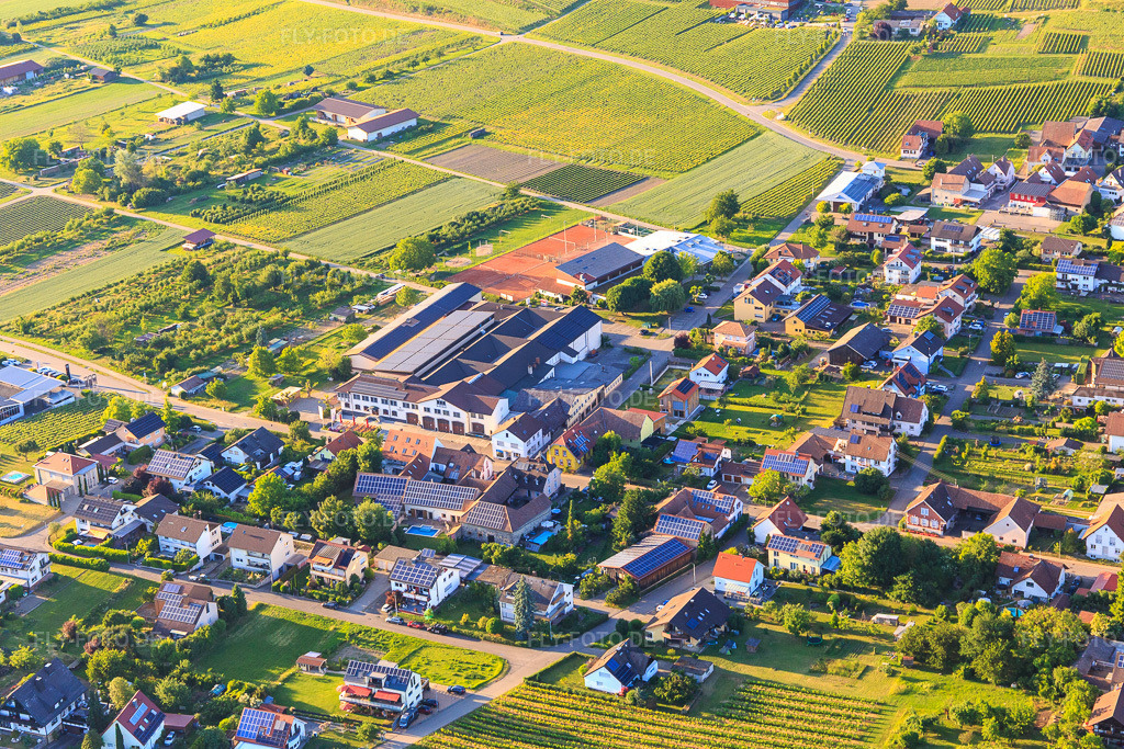 Luftbild: Weinkellerei Bischoffinger Winzer eG am Tennisplatz und Festhalle Bischoffingen im Ortsteil Bischoffingen in Vogtsburg im Bundesland Baden-Württemberg in Deutschland. Foto: IMG_147888.jpg vom 30.05.2025 durch Werner Riehm/FLY-FOTO.deWein online kaufen | | Onlineshop der Bischoffinger Winzer